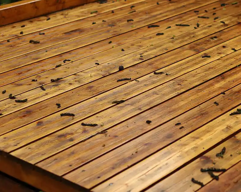 Terrace decking closeup